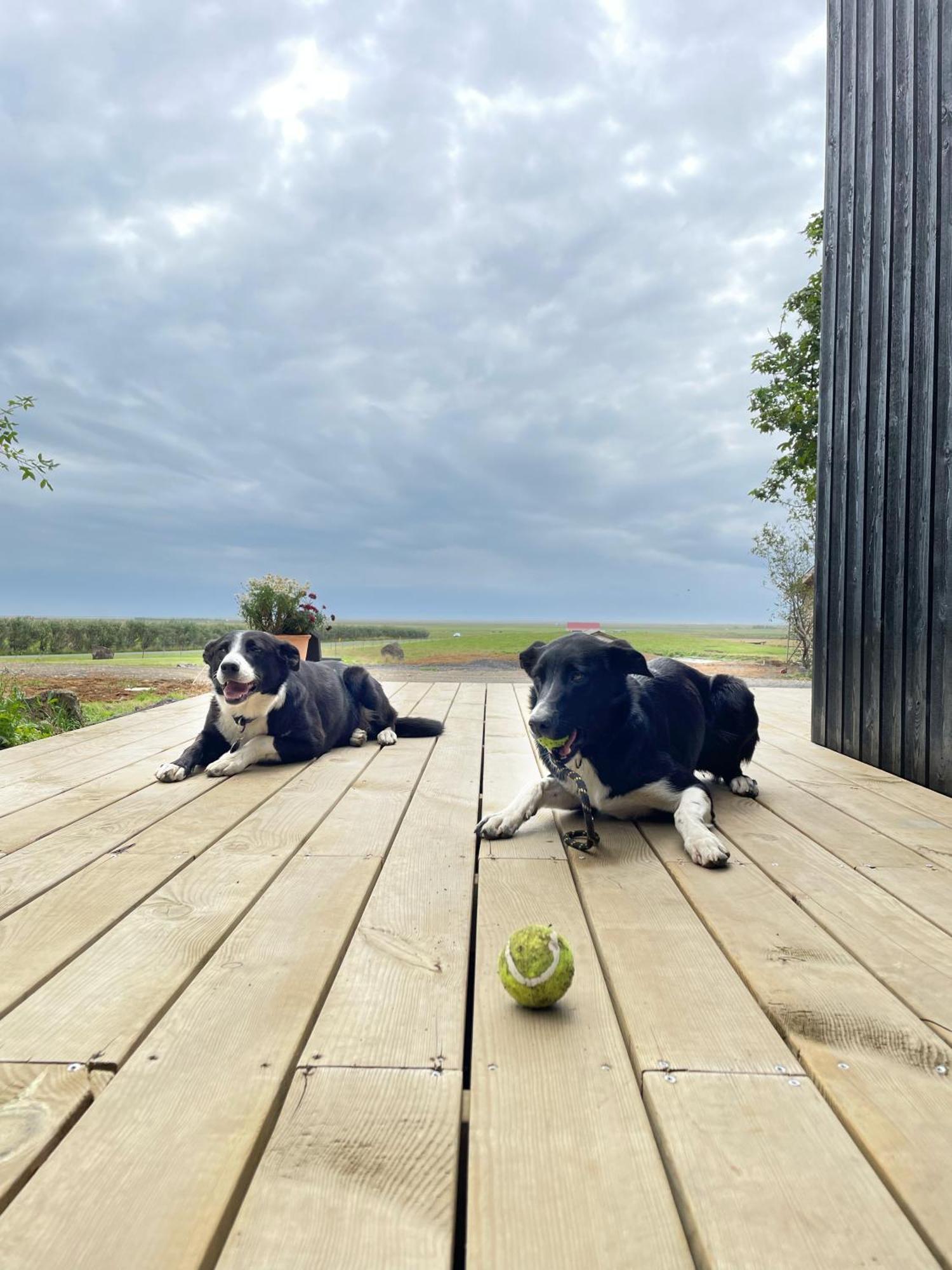 Vila Amma Jona Hvolsvöllur Exteriér fotografie